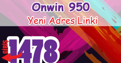 Onwin 950